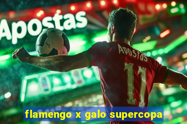 flamengo x galo supercopa